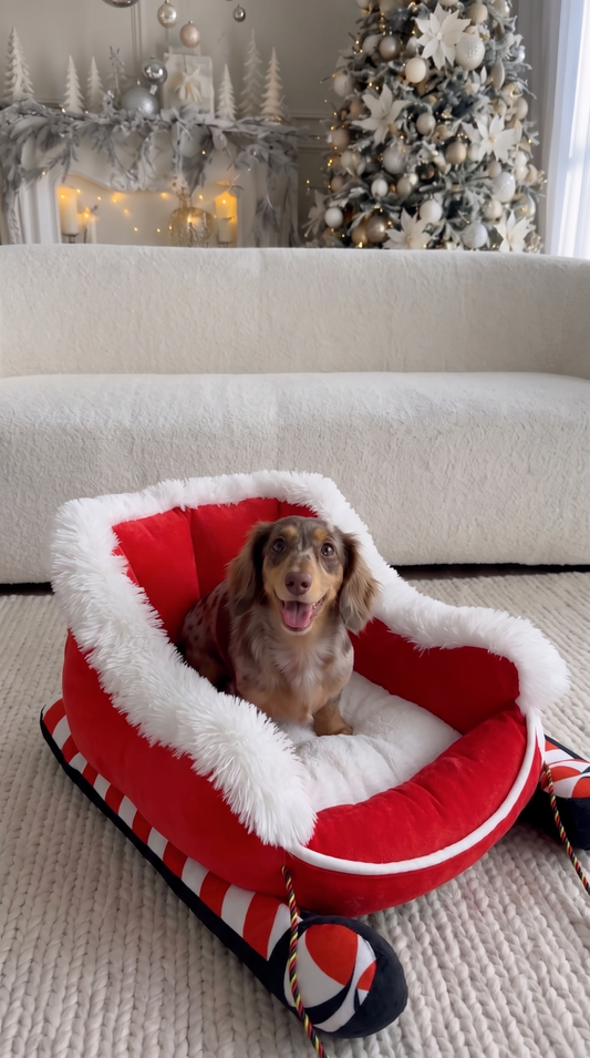 Red Santa sleigh dog bed